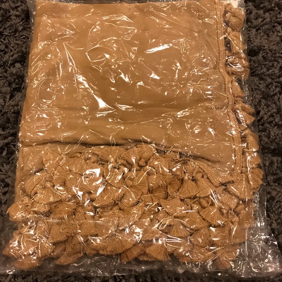 Tassel Shawl/Scarf🧣24x80 - Picture 4 of 5